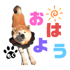 AOI_20200331104438