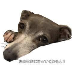 summerco_20200331113819