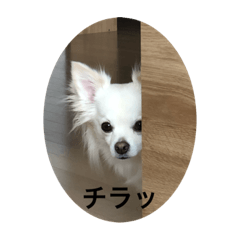 JUNKO_20200330222055