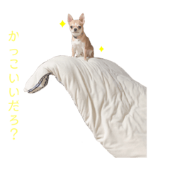 HANA_20200331120713