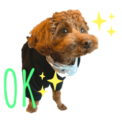 saori_20200331133532