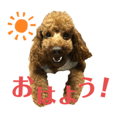 kurumi_20200331143804