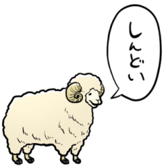 talking sheep