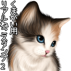 Kumagai Real pretty cats 2