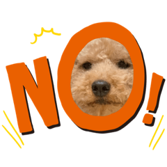 kusenoaruinu