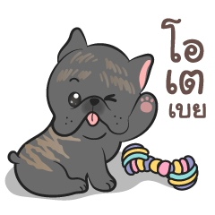 Mangkud French Bulldog