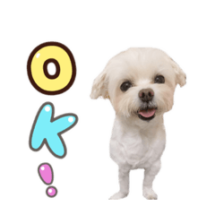 bubi bubi – LINE stickers | LINE STORE