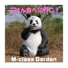 M-class Garden