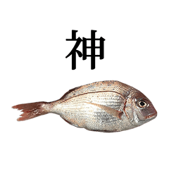 tai fish 3