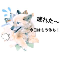 mizuki_20200331140425