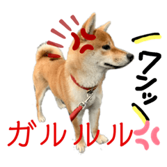 PUKU_20200331212206