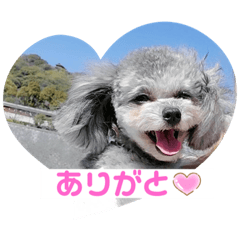 chisa_20200331212327