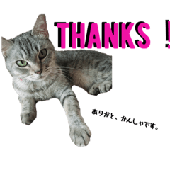 nanami_20200331213445