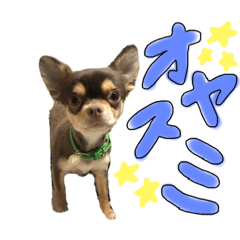 hana_20200331215444