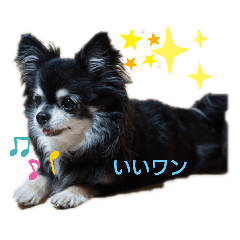 ken_20200331234508