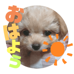 AOI_20200401064459