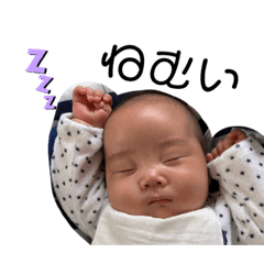 yns20202019