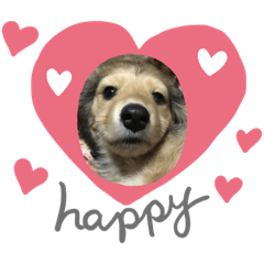 kanae_20200401111534