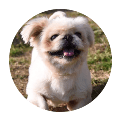 Natsumi_20200401114404