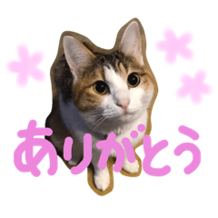 Azukiminaho