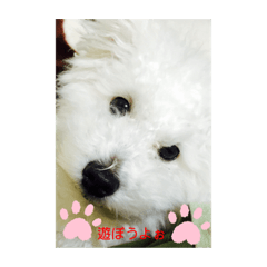 rei_20200401140040