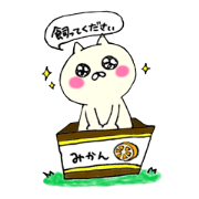 Kawaii & funny cat