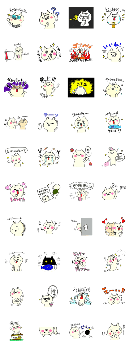 Kawaii & funny cat