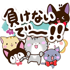 6 cute cats! (Condition version)