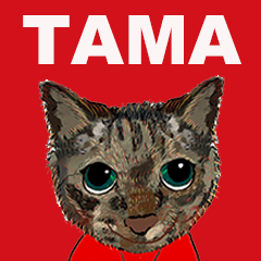 TAMA ASET