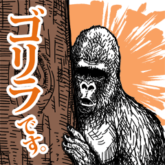 Gorilla gorilla gorilla 2