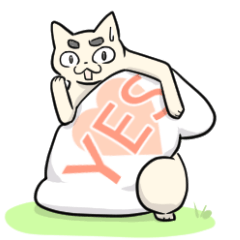A cat Kotetu and pillow