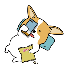 Welsh Corgi daily life
