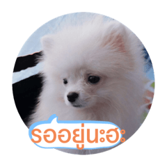 Goodguy_20200403214850
