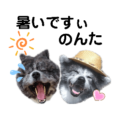 秋田犬カッツと茶羽の山口弁っちゃ Line スタンプ Line Store