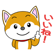 Shiba Puppy