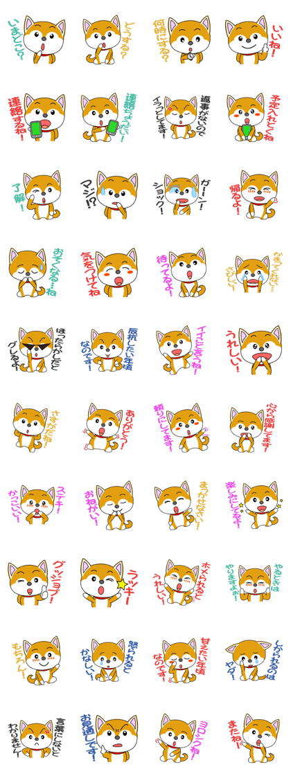 Shiba Puppy