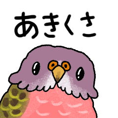 It is bird akikusa.