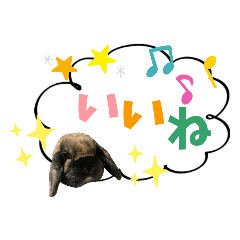 うちの子…『うさぎのじゃじゃまるくん』