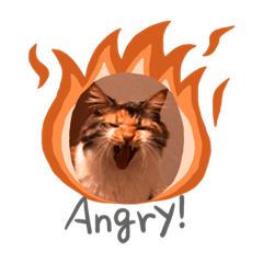 Sharon_20200401212821