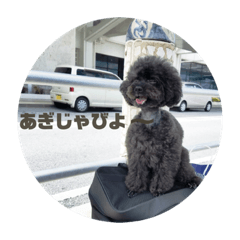 suzu_20200401221826