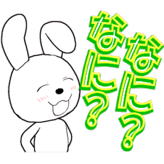 33th edition white rabbit expressive