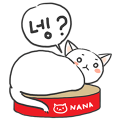 White cat Nana's fun day.(Korean ver)