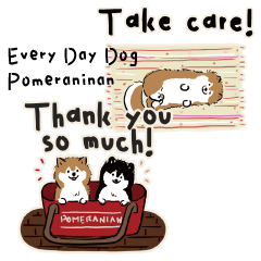 Every Day Dog Pomeranian OR