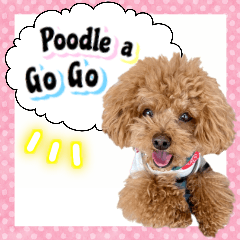 Poodle a Go Go
