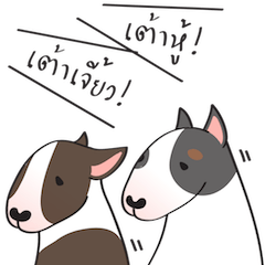 Tao-Hu & Tao-Jiao the Bull Terrier