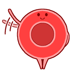 Mr. Red Blood Cell