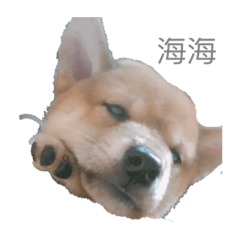 蛋黃貼圖