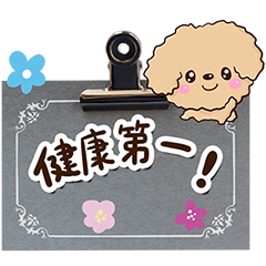 Flowers and Toy poodle (condition)
