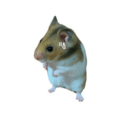 Krypton is hamster