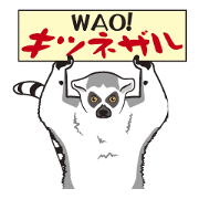 Ring-tailed lemur Ring-tailed lemur